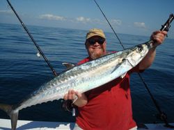 King Mackerel Fish reeled from Florida